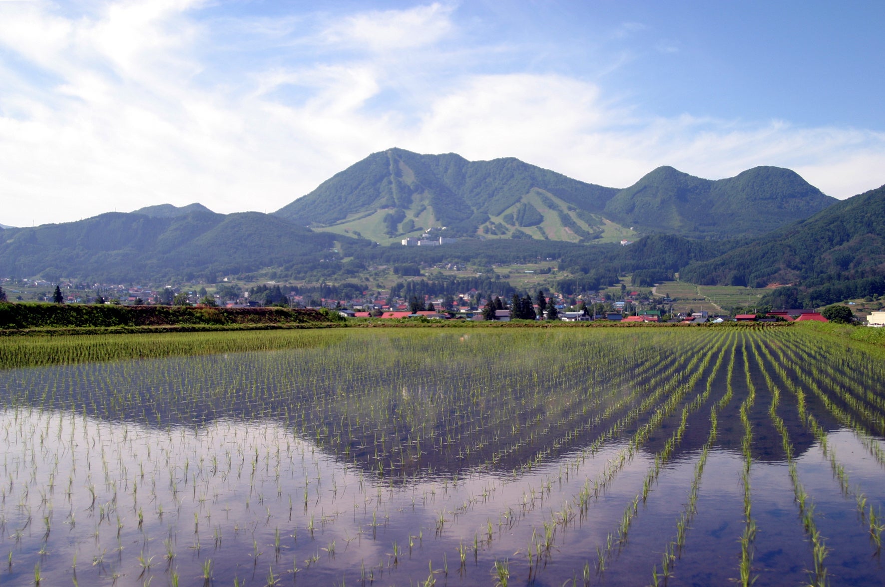田植え後の里山風景