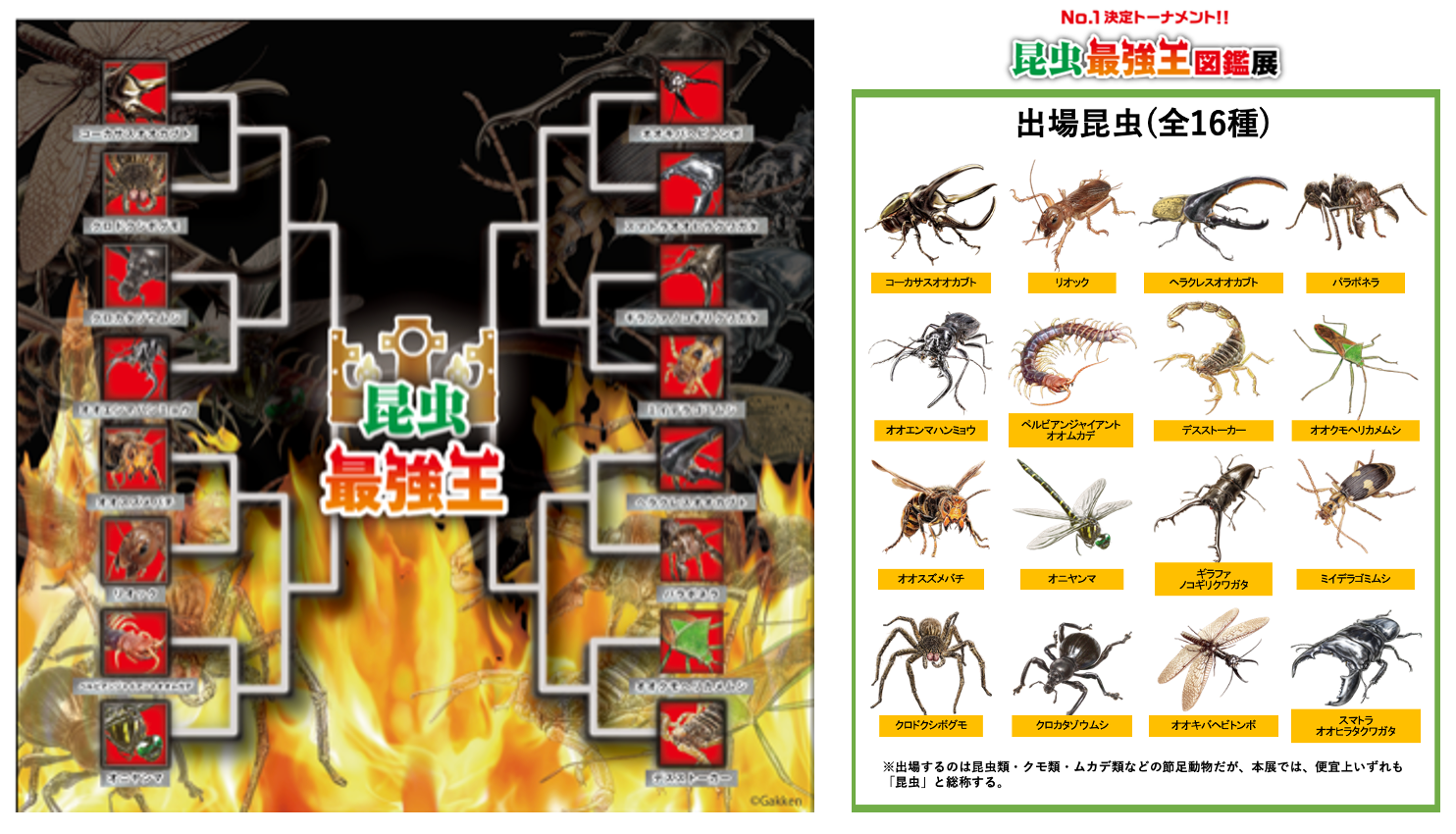 昆虫最強王図鑑展 池袋・サンシャイン60展望台 てんぼうパークで開催