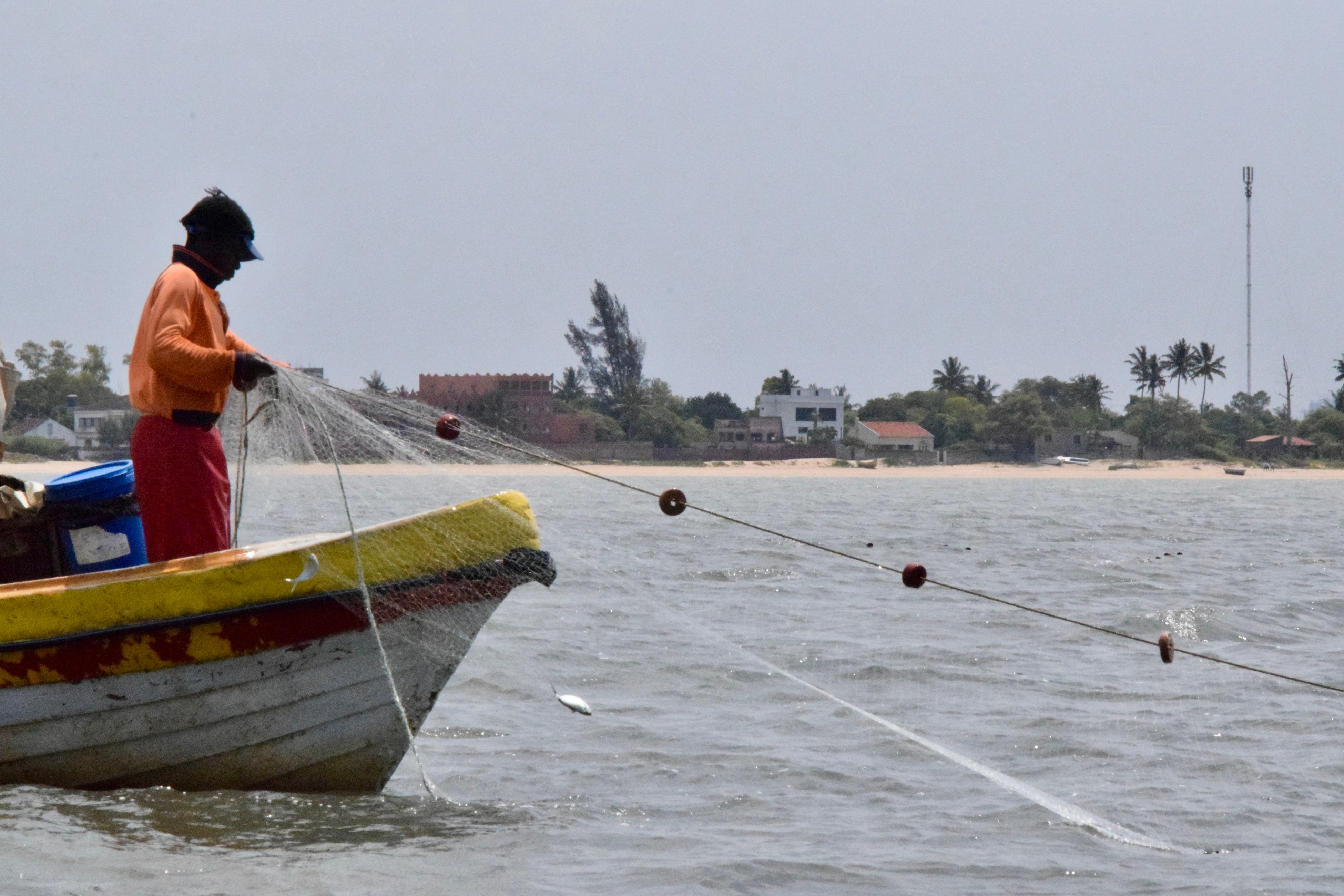 地元漁師の漁の様子