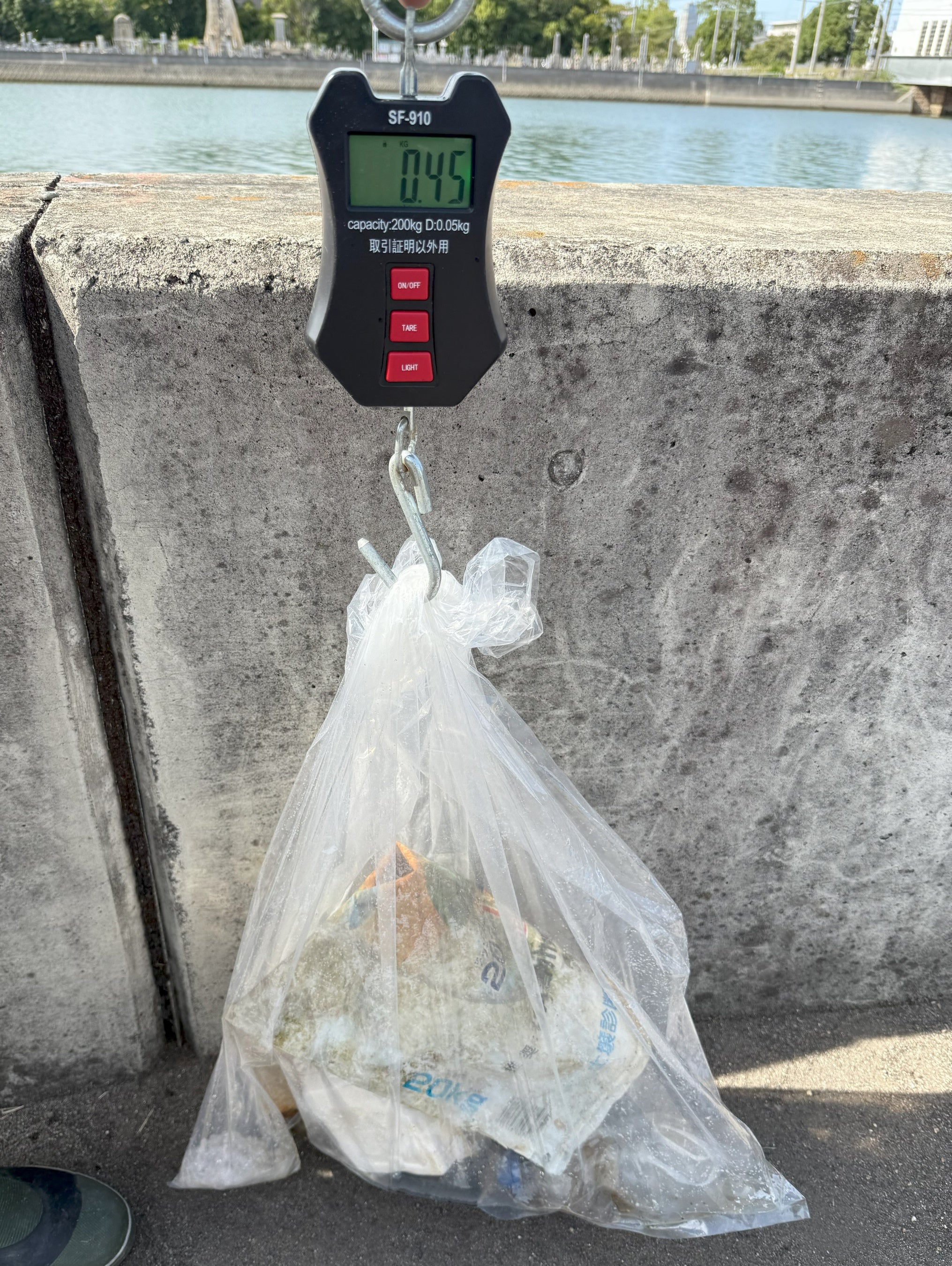 12：00の中間回収物