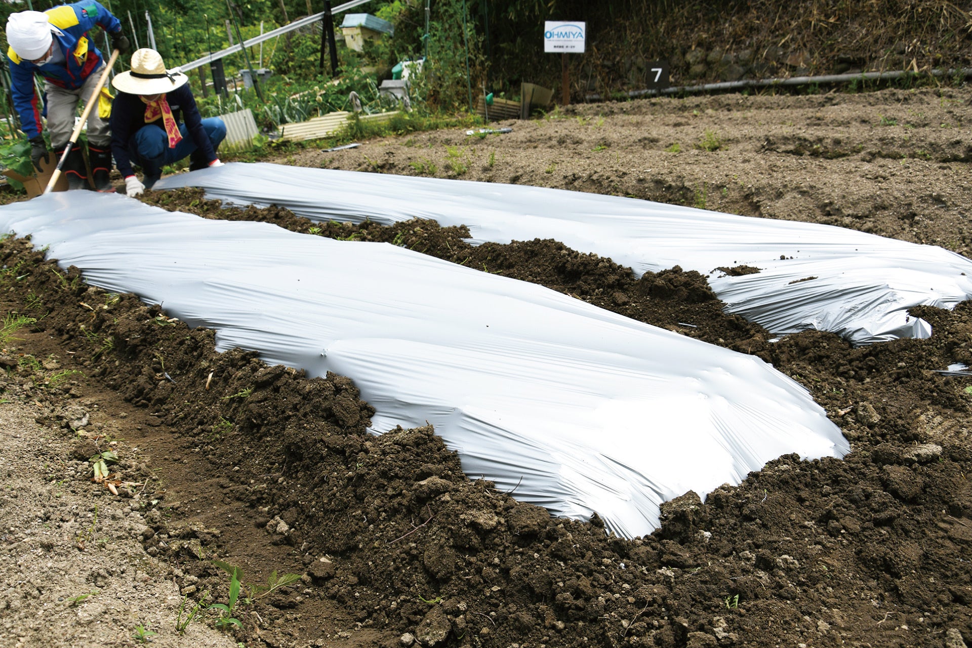 マルチシートは伸びがよく、破れにくい仕様に