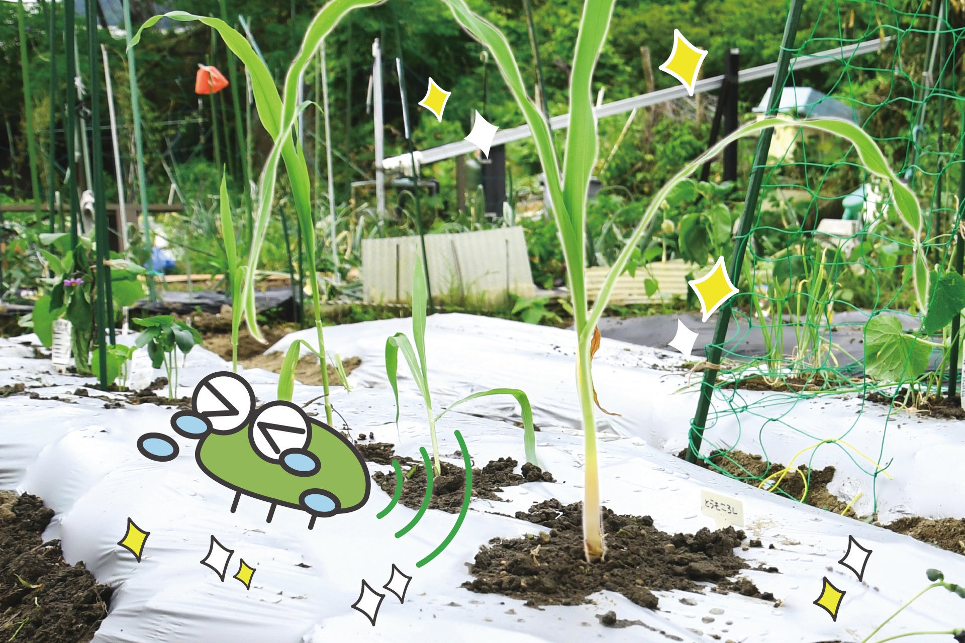 水を嫌う虫をシルバーカラーの作用で防虫するイメージ