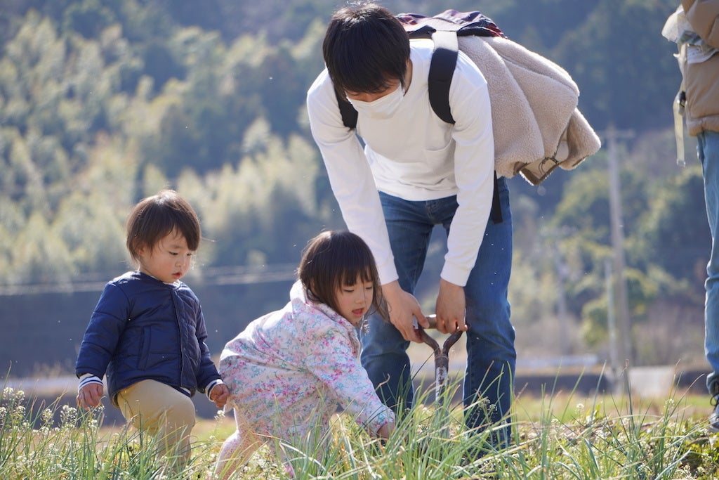 収穫体験の様子