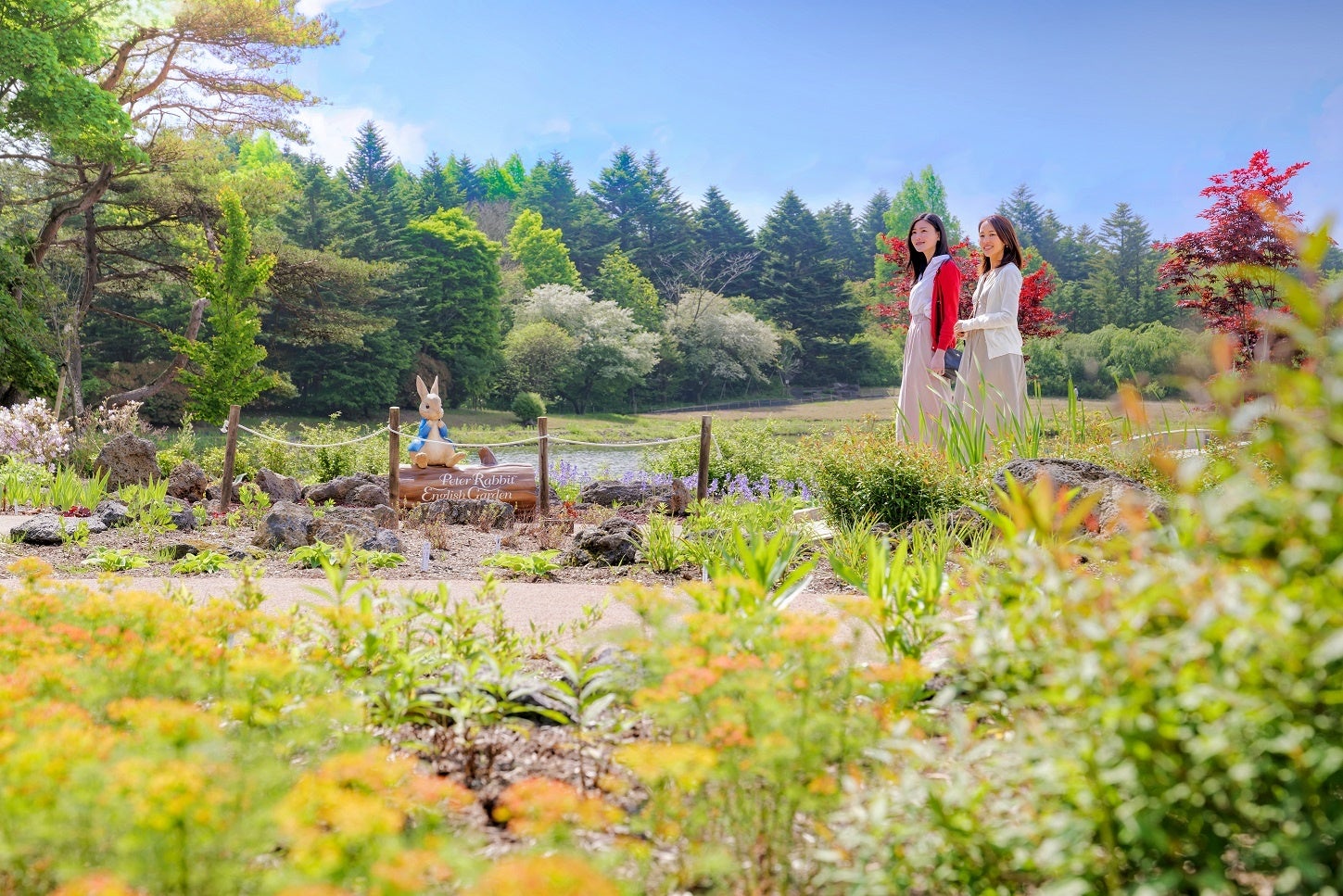 富士山と青い花畑の風景 富士山と初夏の花の共演！絶景スポット4選(季節・暮らしの話題