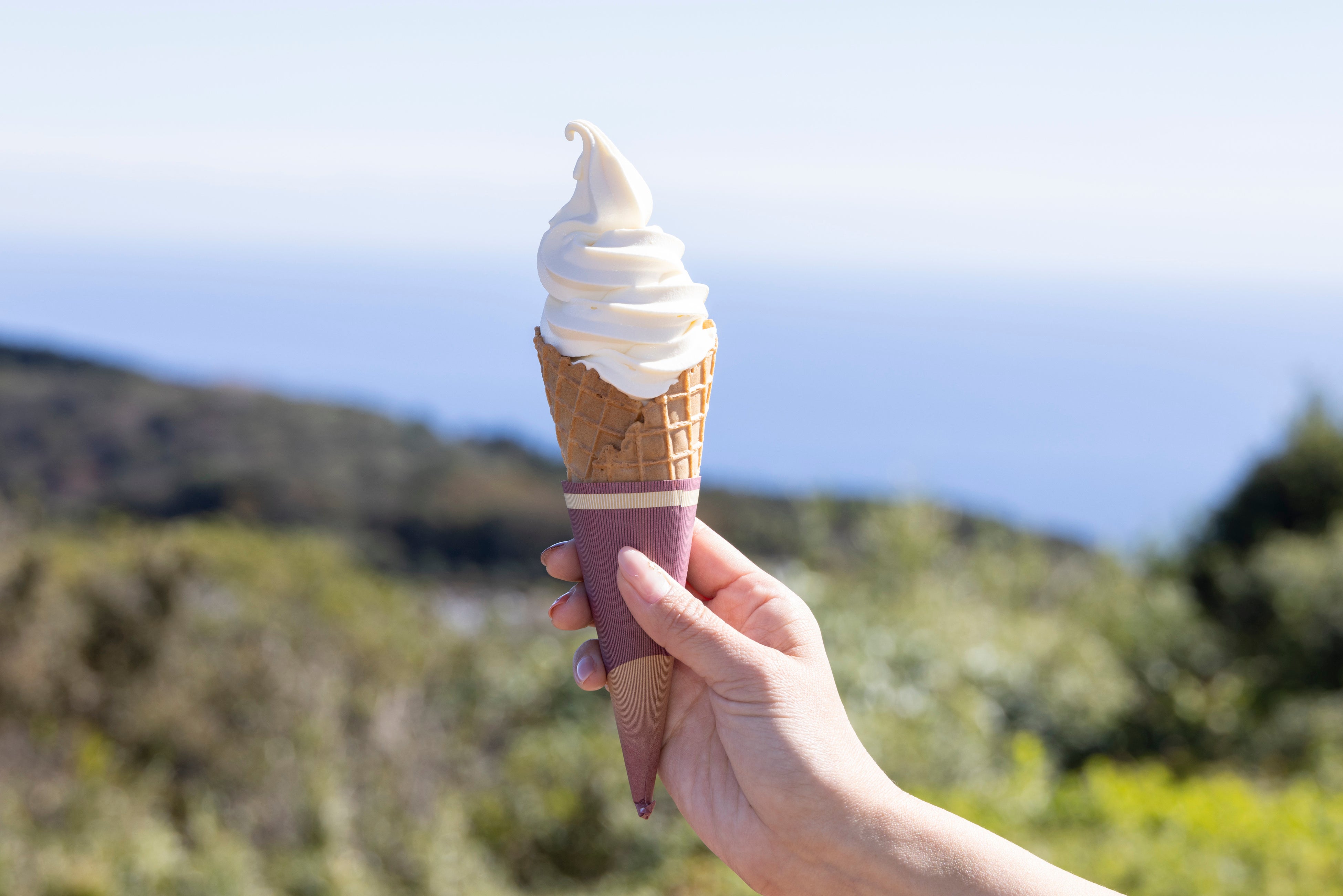 特濃ソフトクリーム ～地元 丹那牛乳使用～ 500円