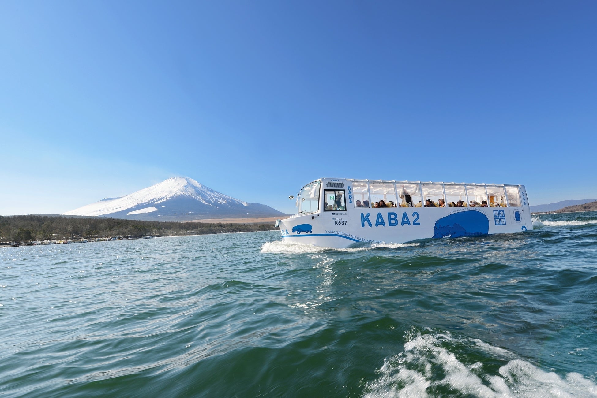 水陸両用バス「山中湖のカバ」