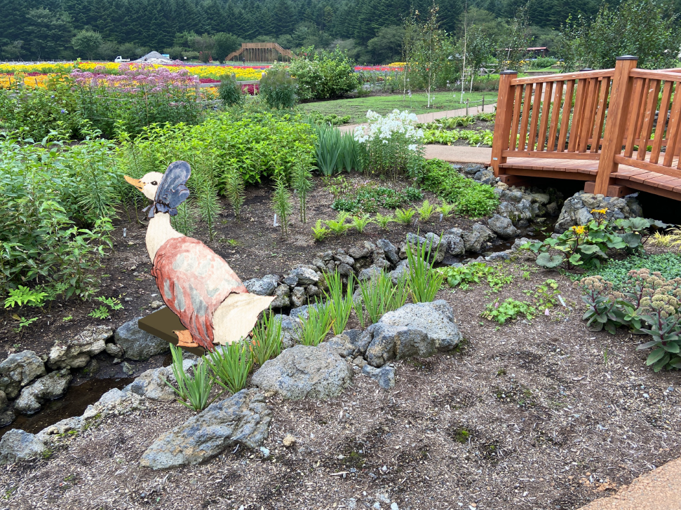 新フォトスポット(あひるのジマイマ)※イメージ