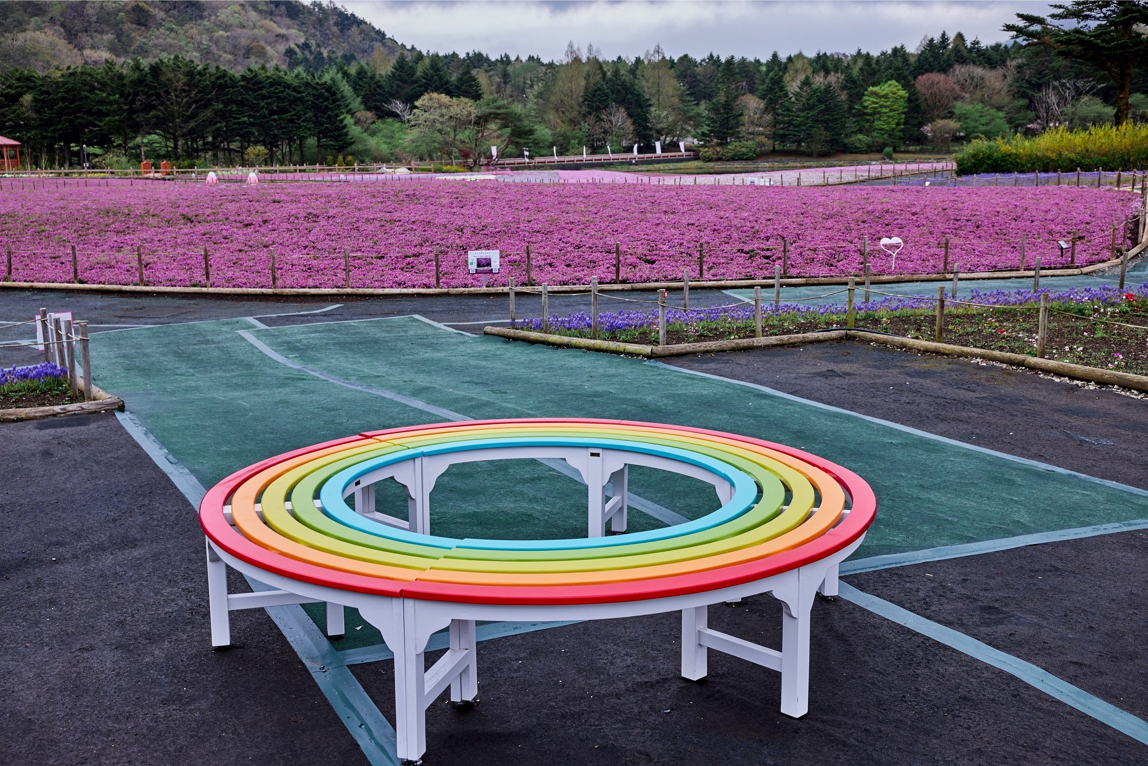 虹色のサークルベンチ