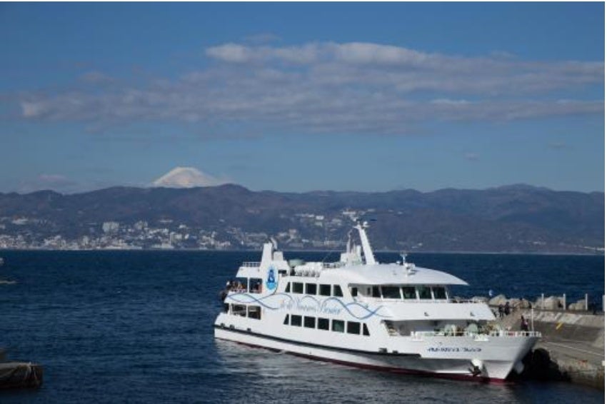 イモーテル　コバルトブルー　1束　大地農園　※箱で送付 大地農園の「ドライフラワー花材｜ドライフラワー」通販 - 花材通販は