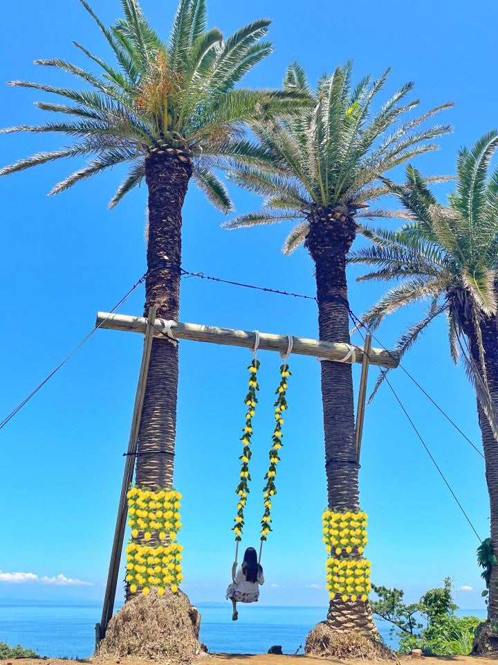 空と海とブランコ~初島レモンバージョン~