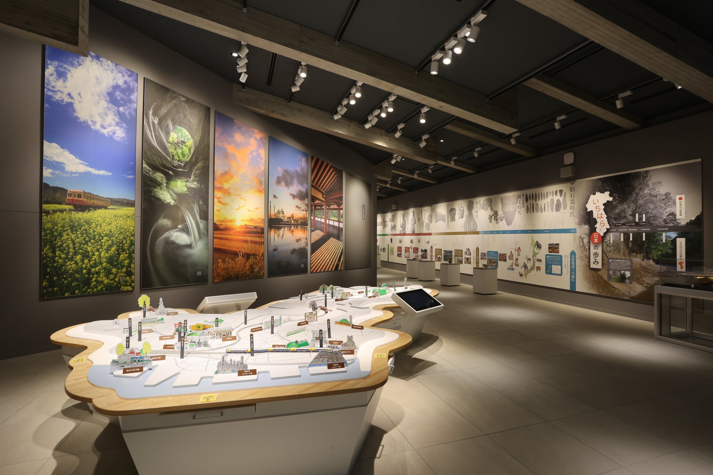 フィールドガイダンス展示