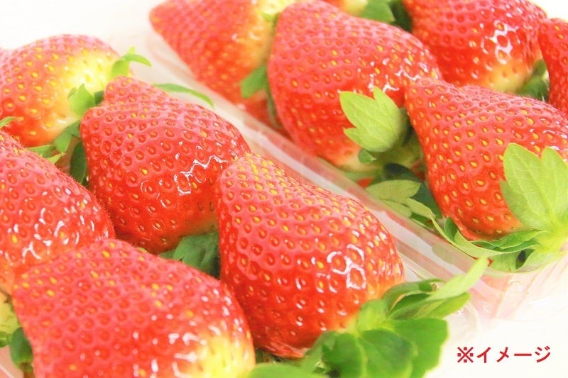 【次世代を担う栃木県を代表するいちご“とちあいか”】