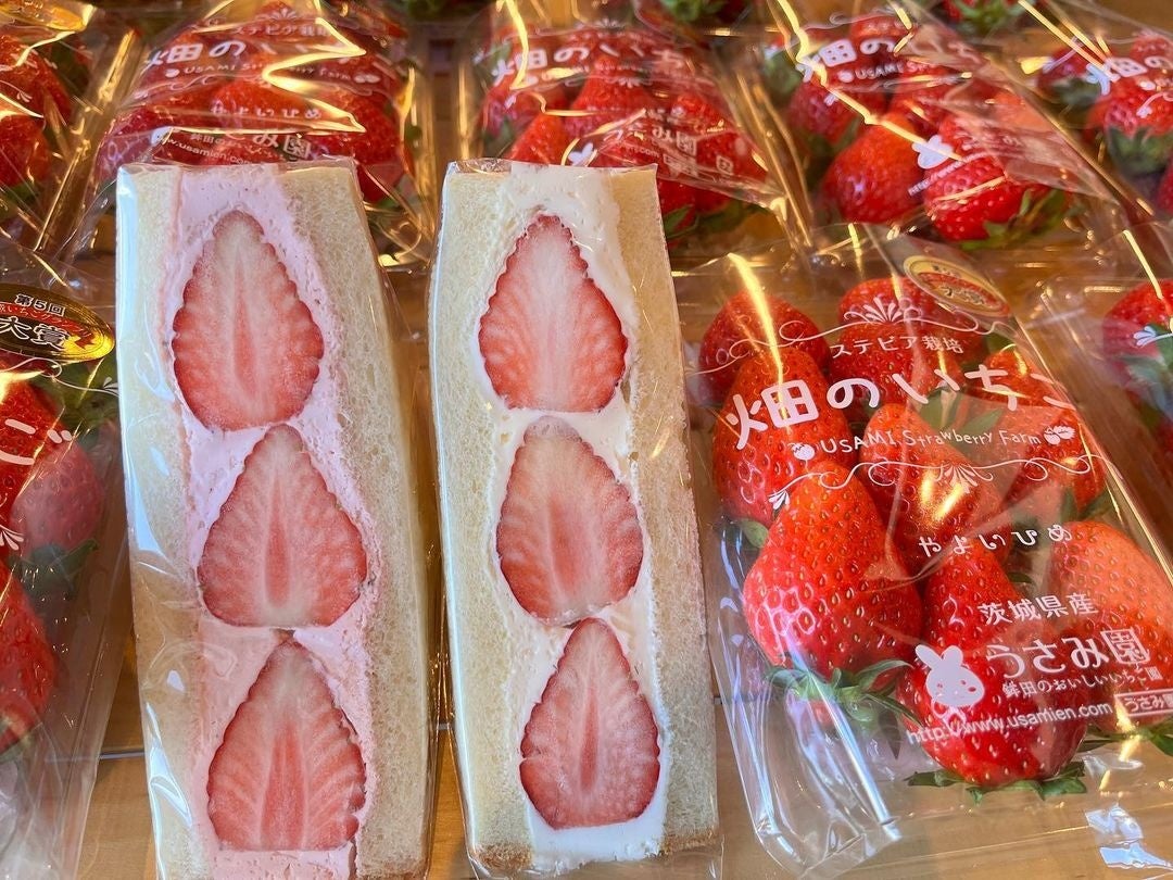 鉾田市「うさみ園」のいちごは、贅沢な甘さで大人気