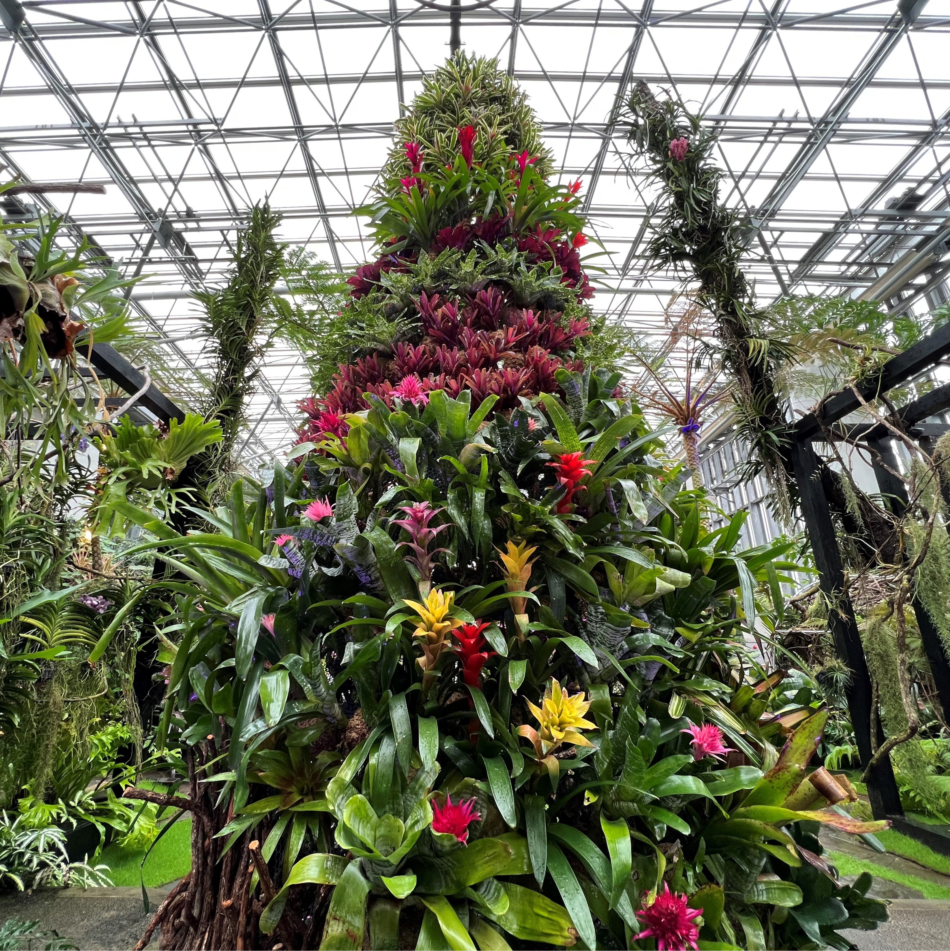 高さ5ｍ、15種類200株のパイナップル科の植物で作られたトロピカルツリー