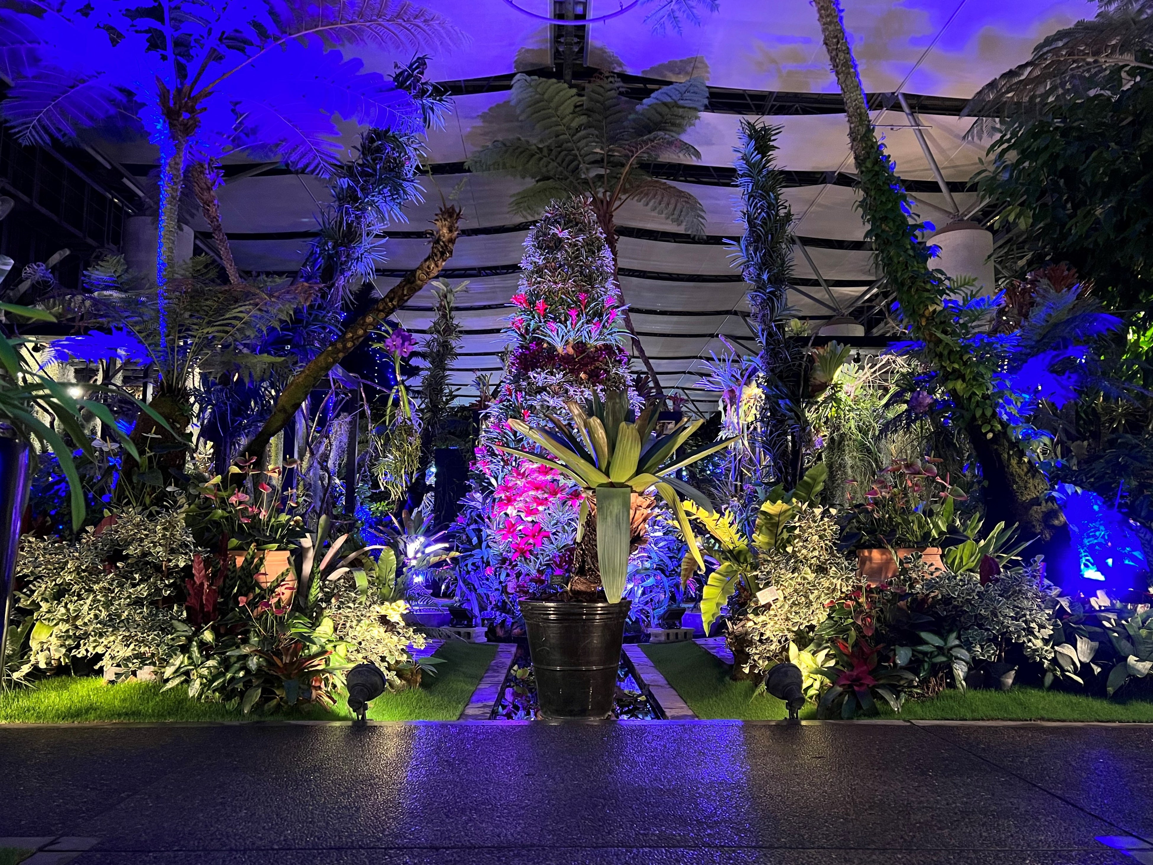 トロピカルツリーの夜の様子