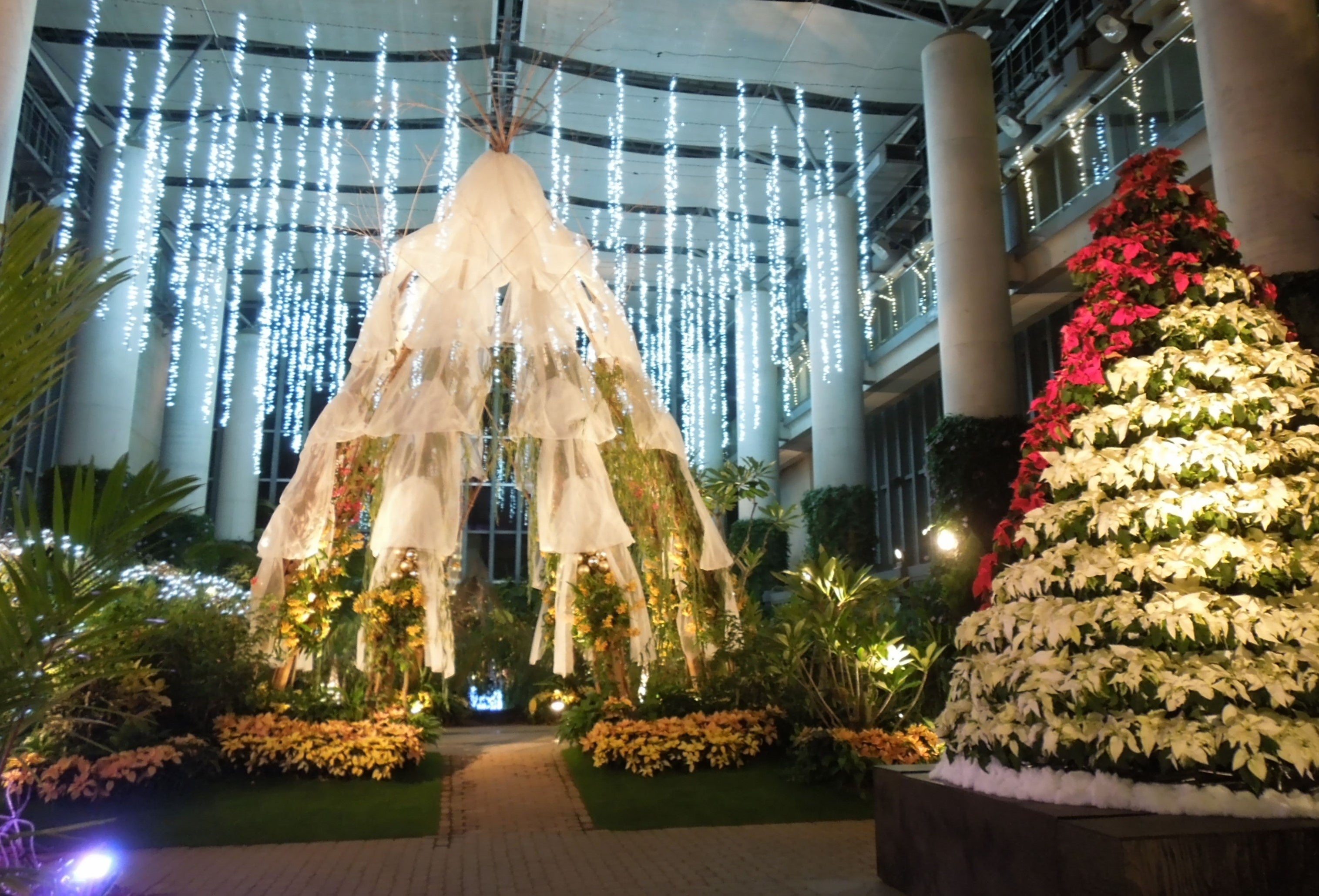 展示室5の夜の様子