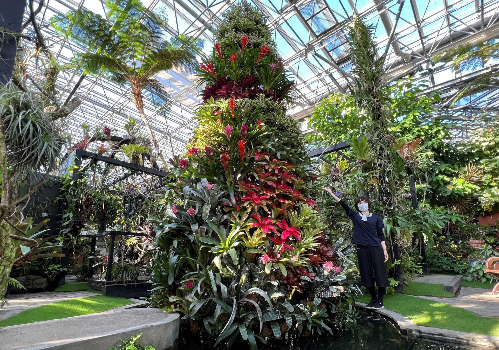 高さ5m、15種類200株のパイナップル科の植物で作られたトロピカルツリー