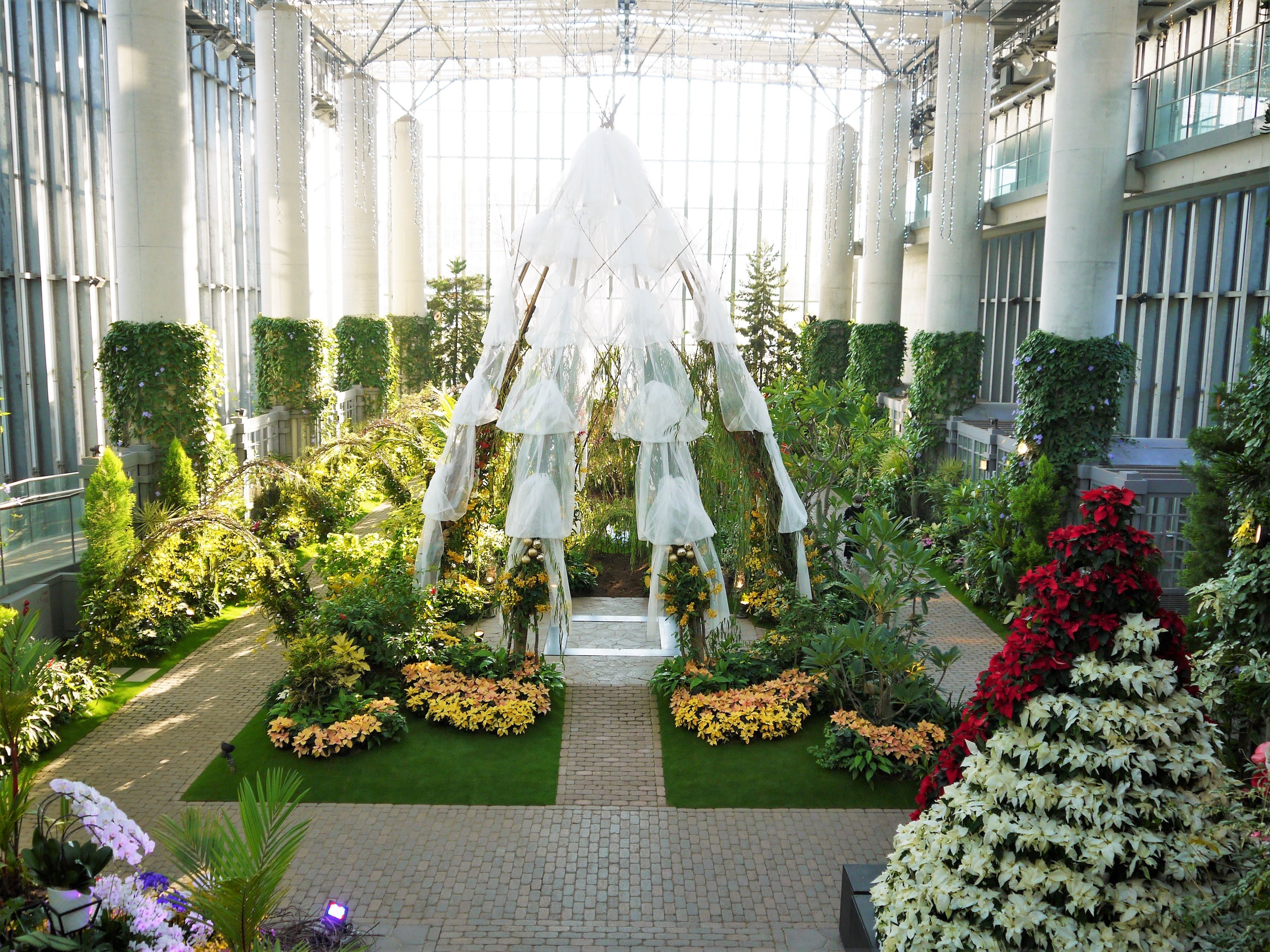  日中は植物の色を楽しんで。