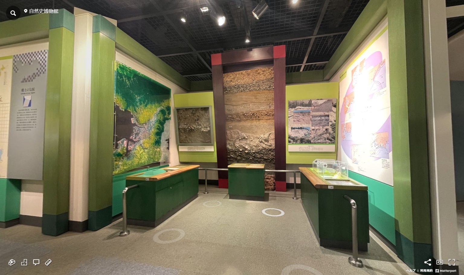 VR空間で自然博物館の展示物を体験