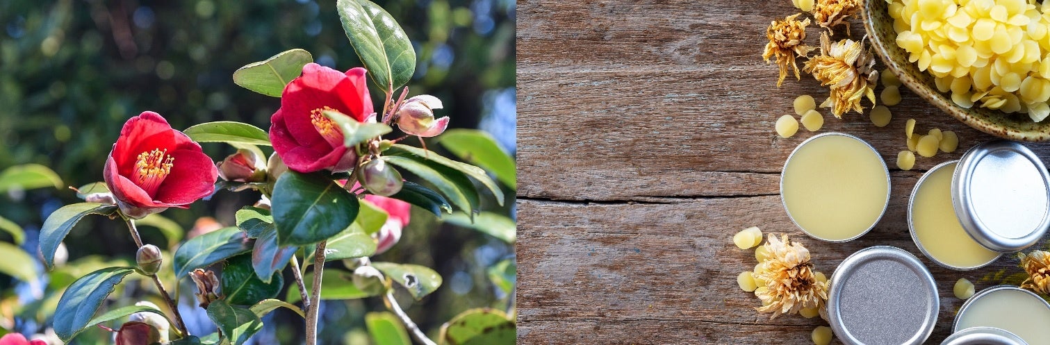 ※写真はイメージです