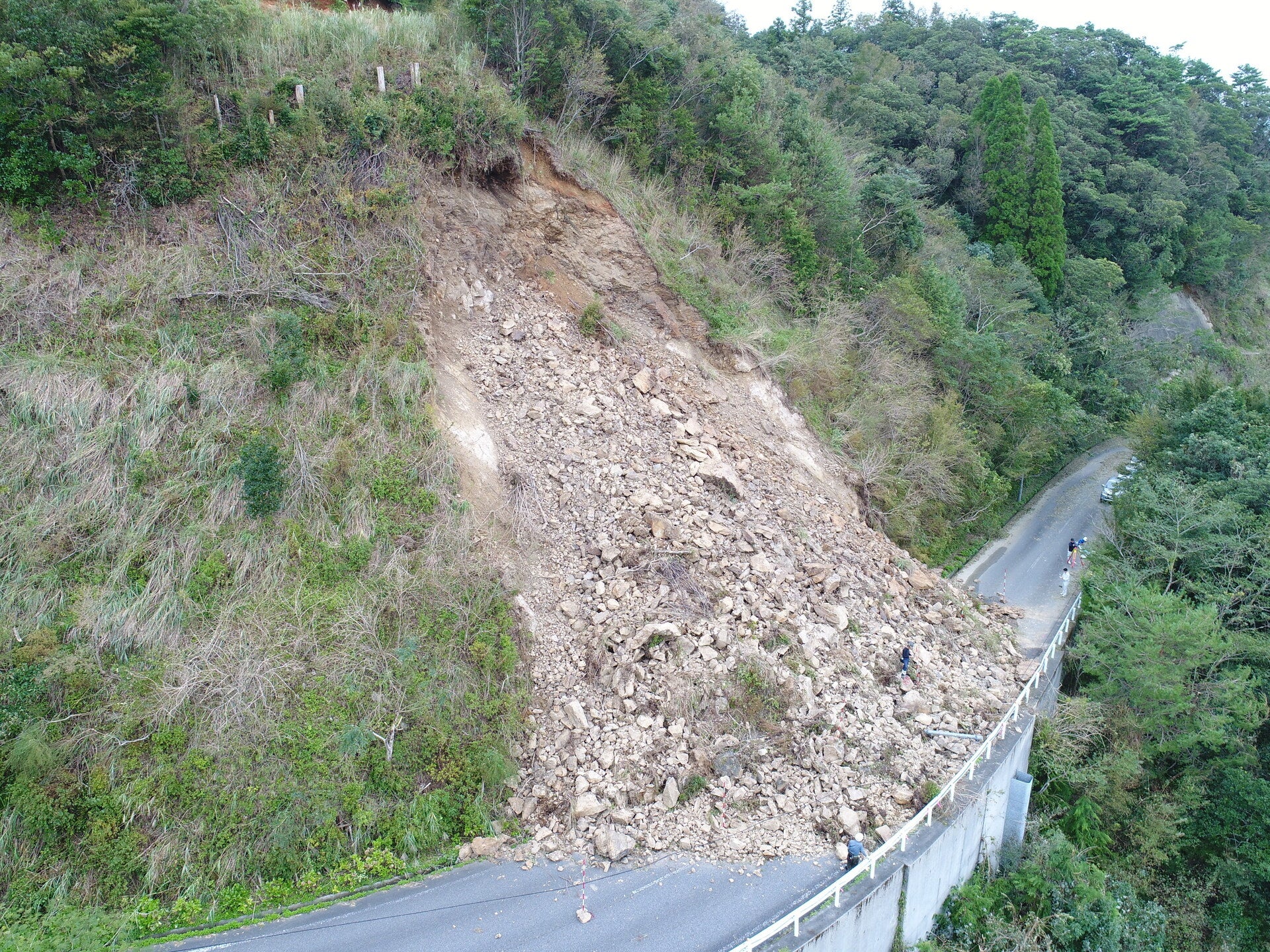 土砂崩れ（林道）