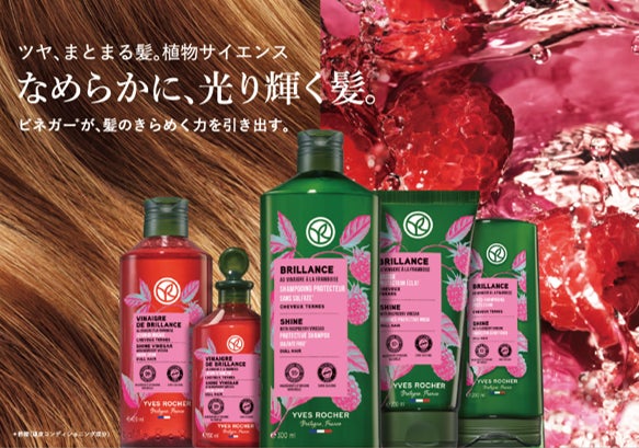 イヴ・ロシェ】人気のヘアケアシリーズが成分や効果をパワー イヴ・ロシェ】人気のヘアケアシリーズが成分や効果をパワー