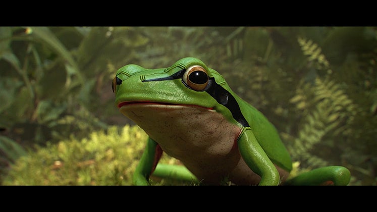 環境大臣賞受賞・文化庁メディア芸術祭 審査委員会推薦作品