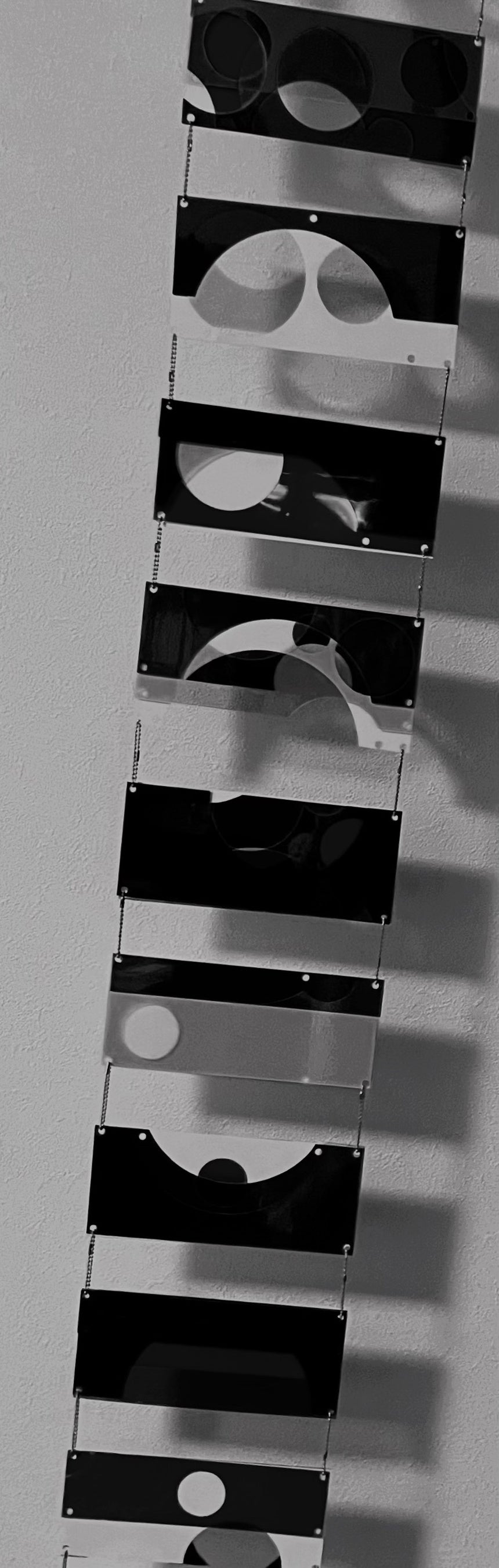 陳星「Space=Fish=Whatever」