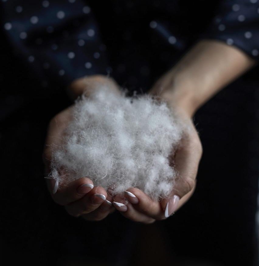 Naturtexは 100%ハンガリー産ダウンのみを使用しています