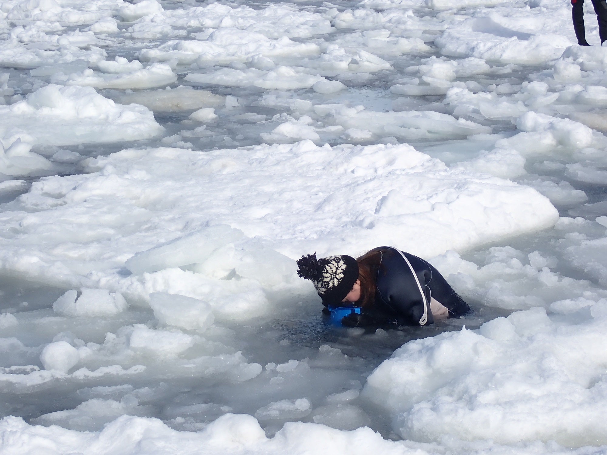 画像提供：ピッキオ知床