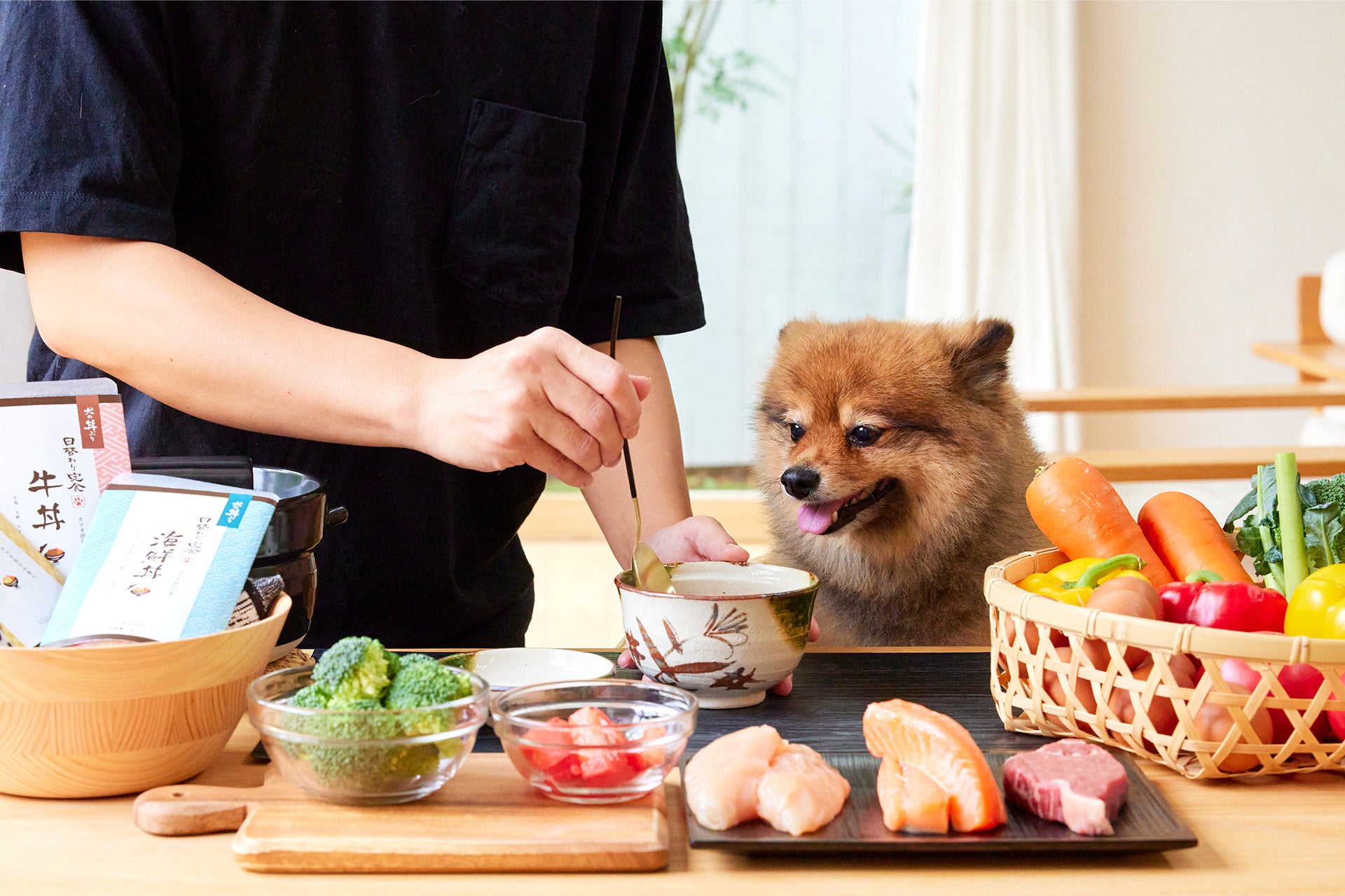 こんなドッグフード見たことない！斬新すぎる「犬の日替わり定食」が