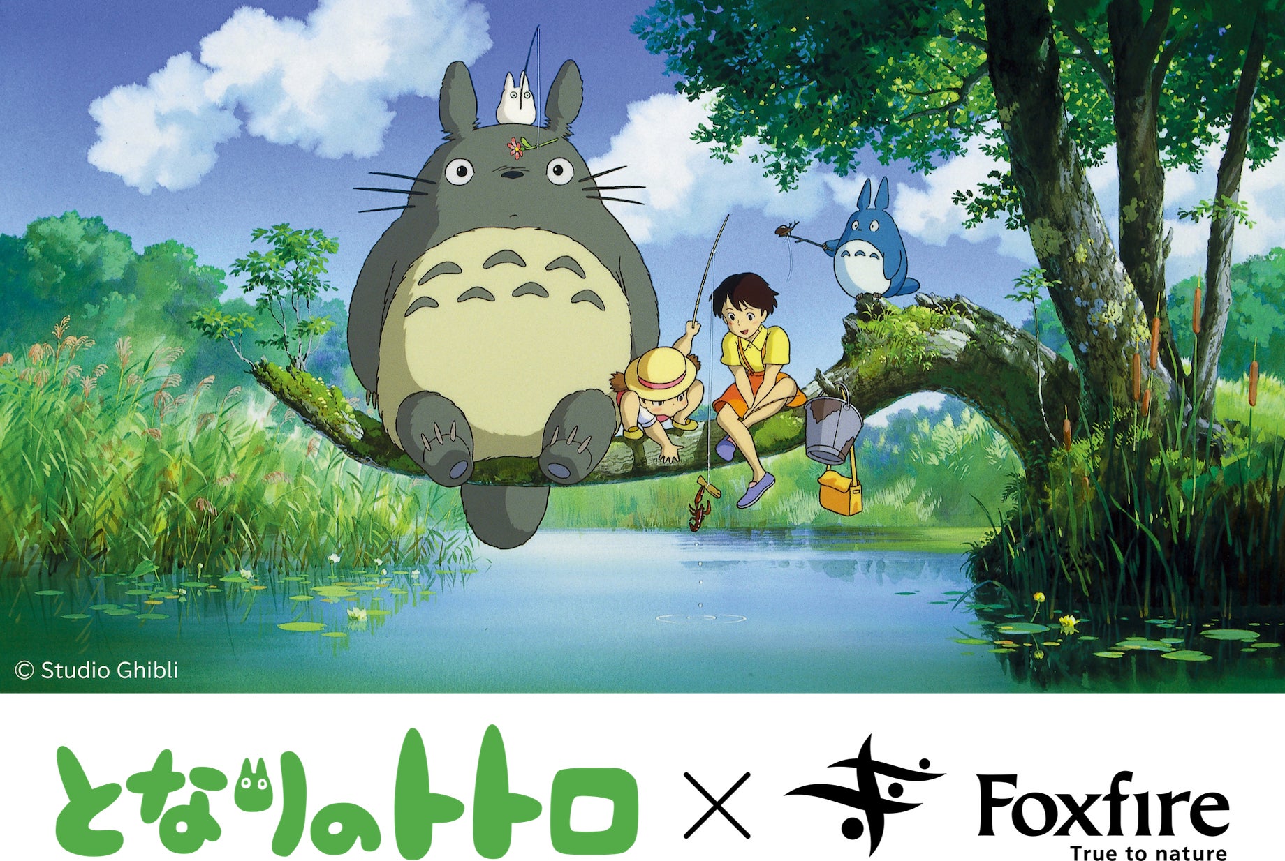 子供から大人まで誰もが大好き「となりのトトロ」とFoxfireの 子供から大人まで誰もが大好き「となりのトトロ」とFoxfireの