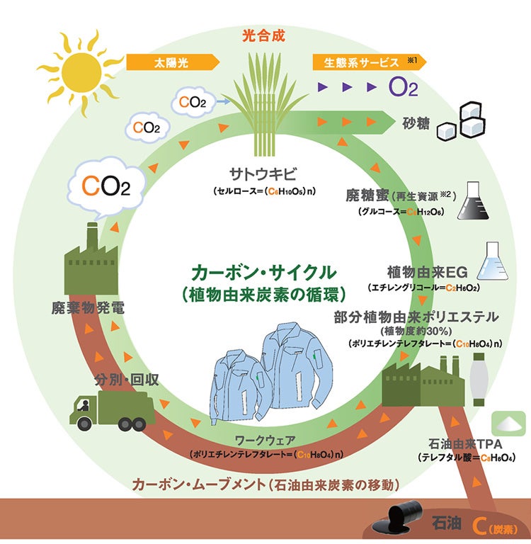 カーボンサイクル（植物由来炭素の循環）