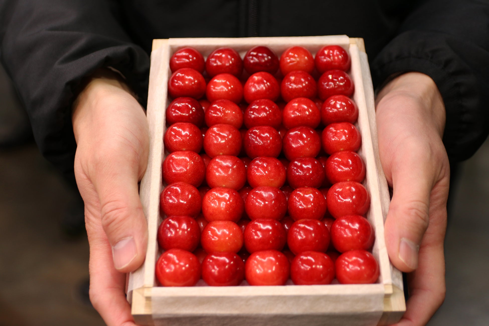 山形県産さくらんぼ「佐藤錦」500g 130万円