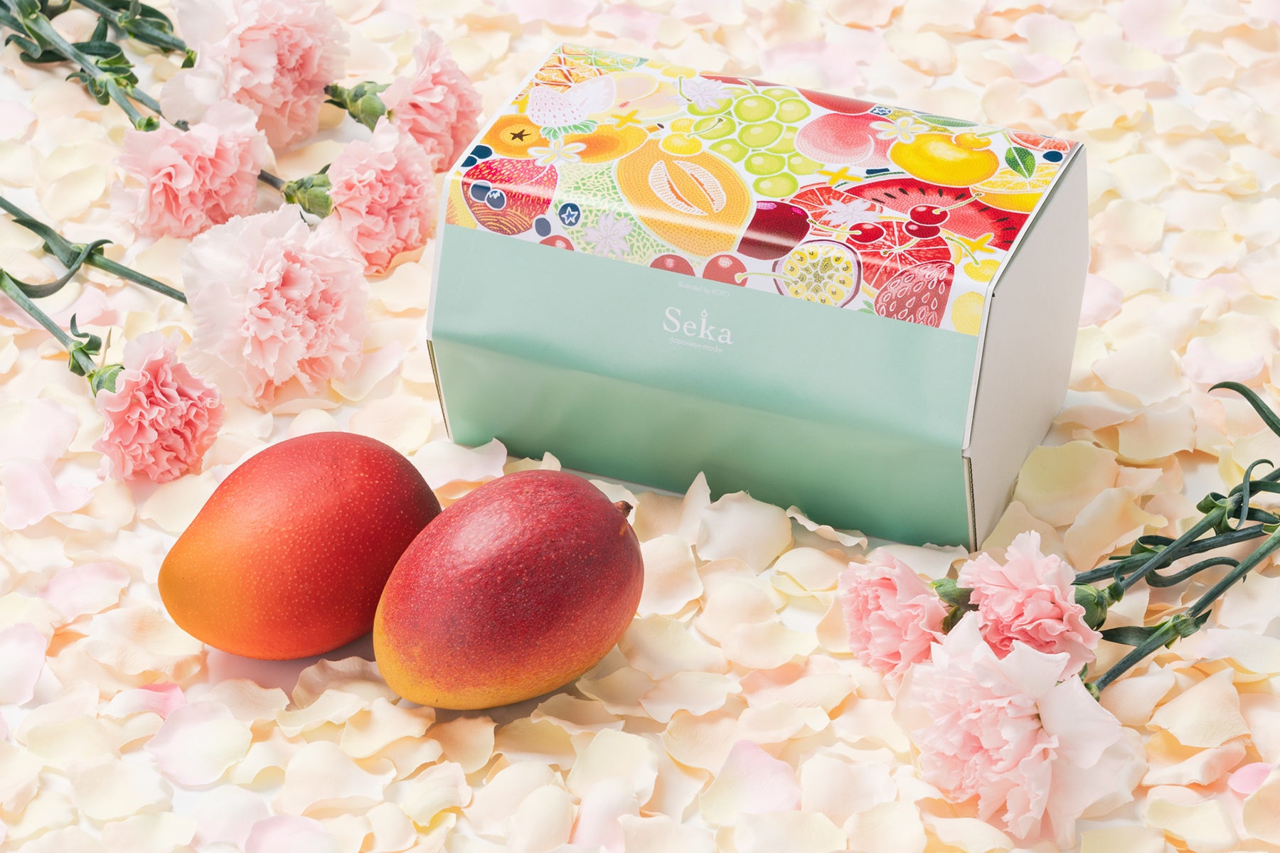 宮崎県産完熟マンゴー（2玉）