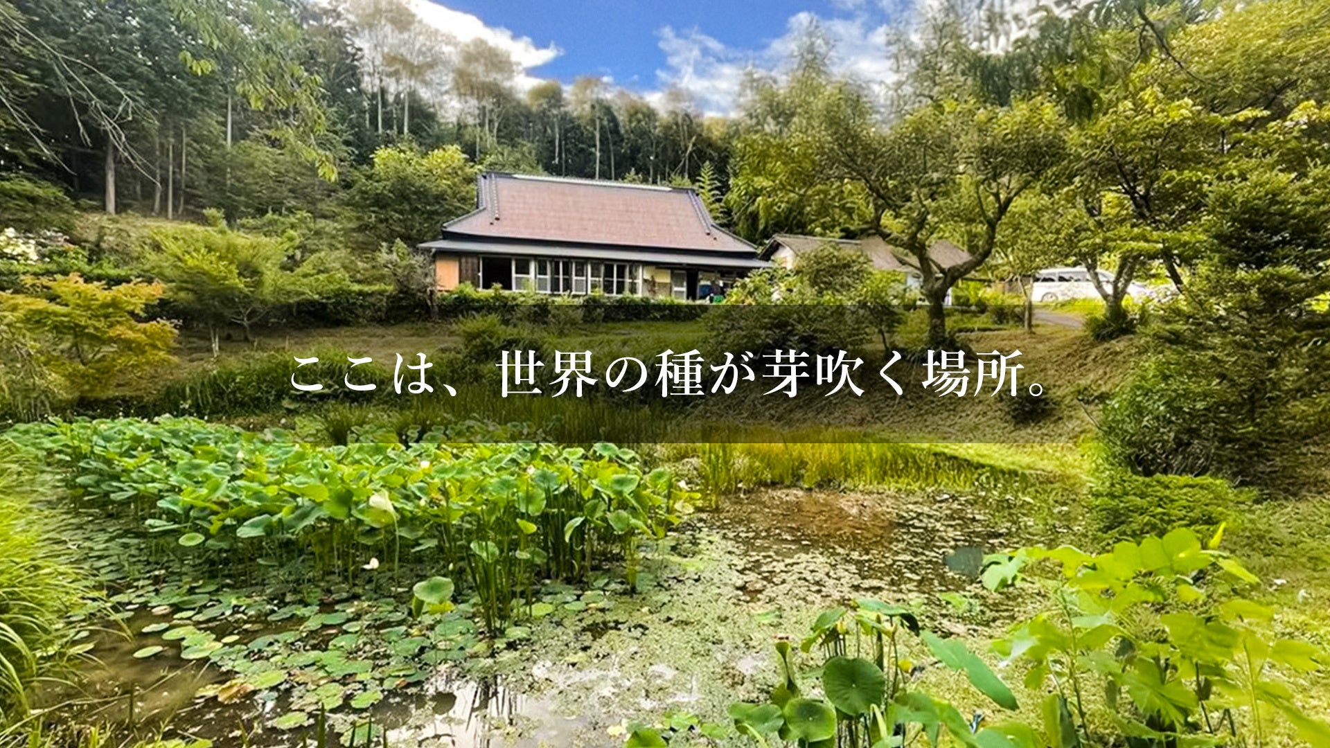 ゲーム会社が、里山に学校をつくる。自然の叡智とAI・IoTを融合した実践型教育『アマナ自然学校』が岐阜県八百津町で始動
