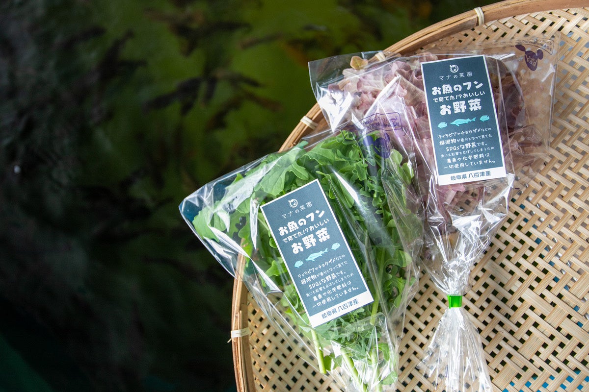 商品パッケージ