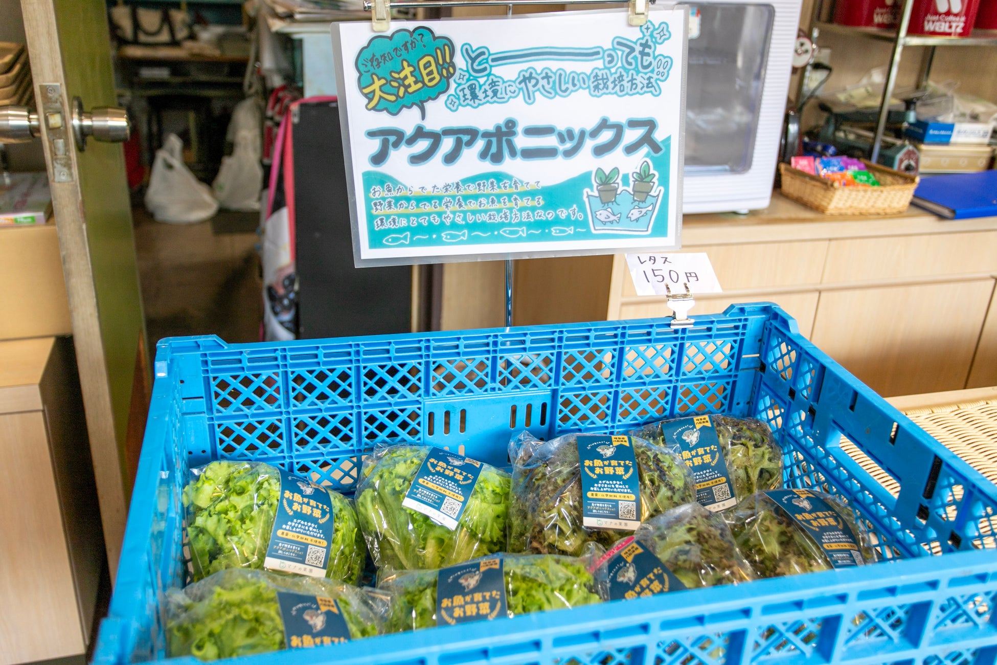 nanten店内でも野菜を購入可能