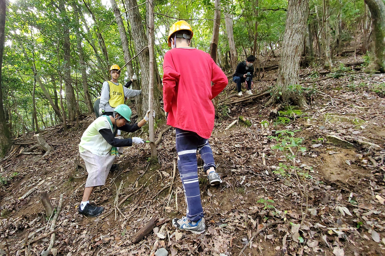 間伐作業を通して自然の守り方を学ぶ