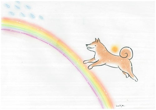 涙でできた虹の橋を必死に駆け登るナナ