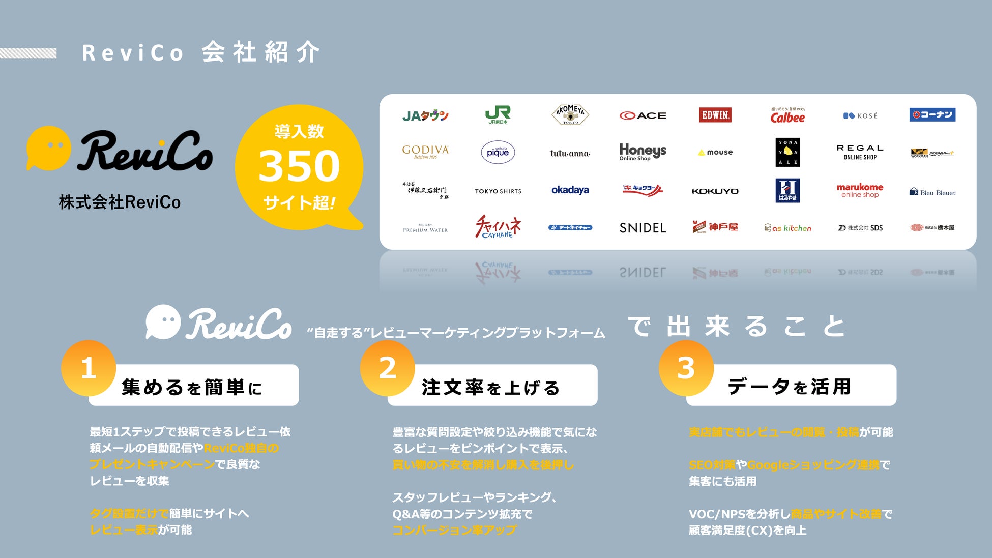 ReviCoの概要