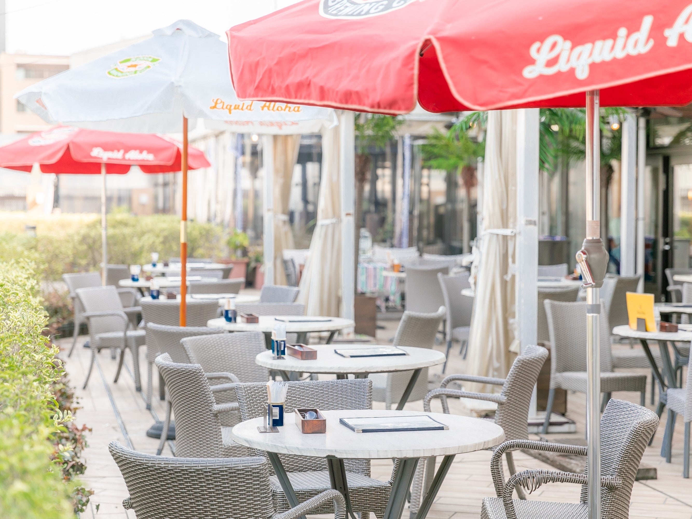 写真：アロハテーブル ペリエ千葉