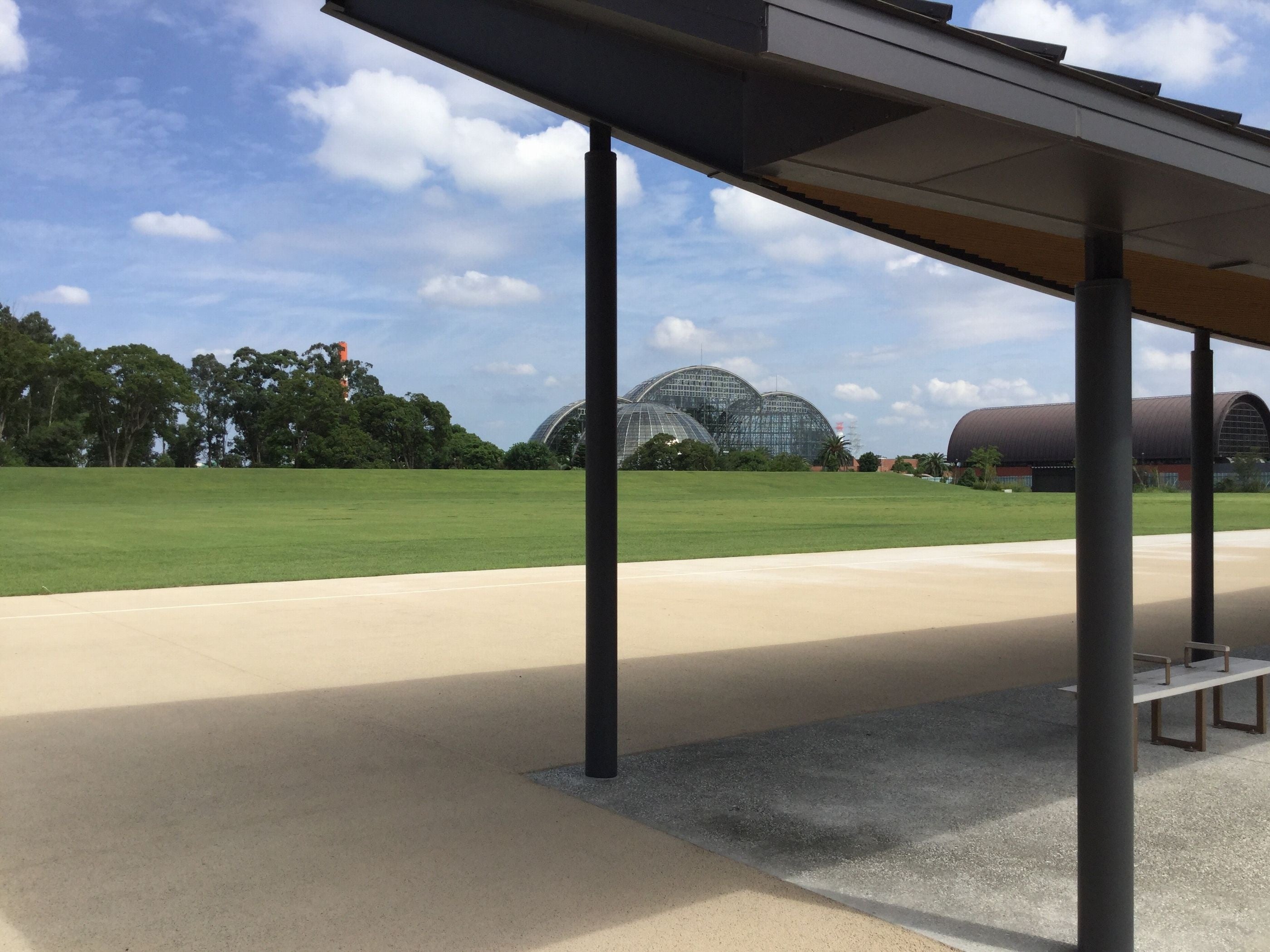 （会場となる、夢の島公園アーチェリー場）