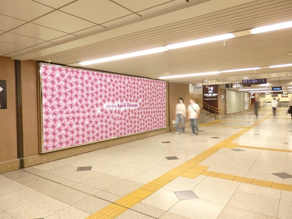 （「夢が咲く、桜の花」の展示イメージ）