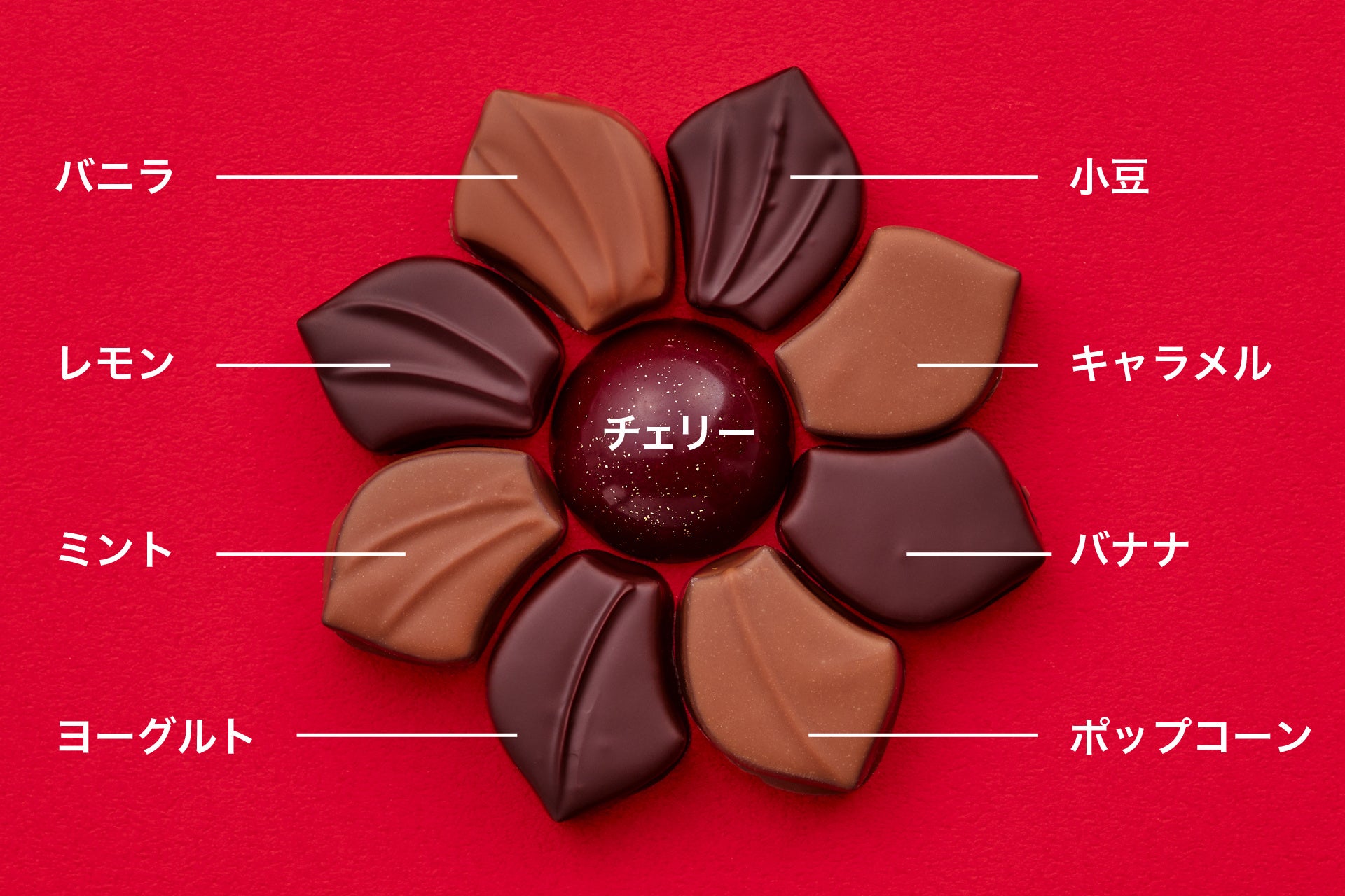 ラ コロール ルージュ 2024ショコラアソート セレクション 9個入　／　3,024円（本体価格：2,800円）