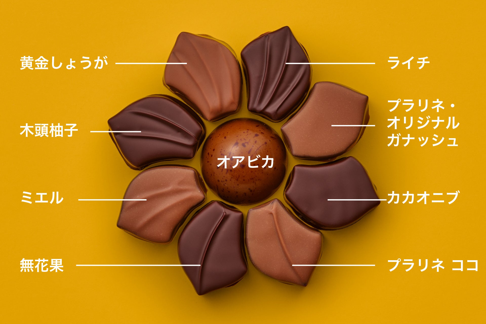 ラ コロール ジョンヌ 2024ショコラアソート セレクション 9個入　／　3,024円（本体価格：2,800円）