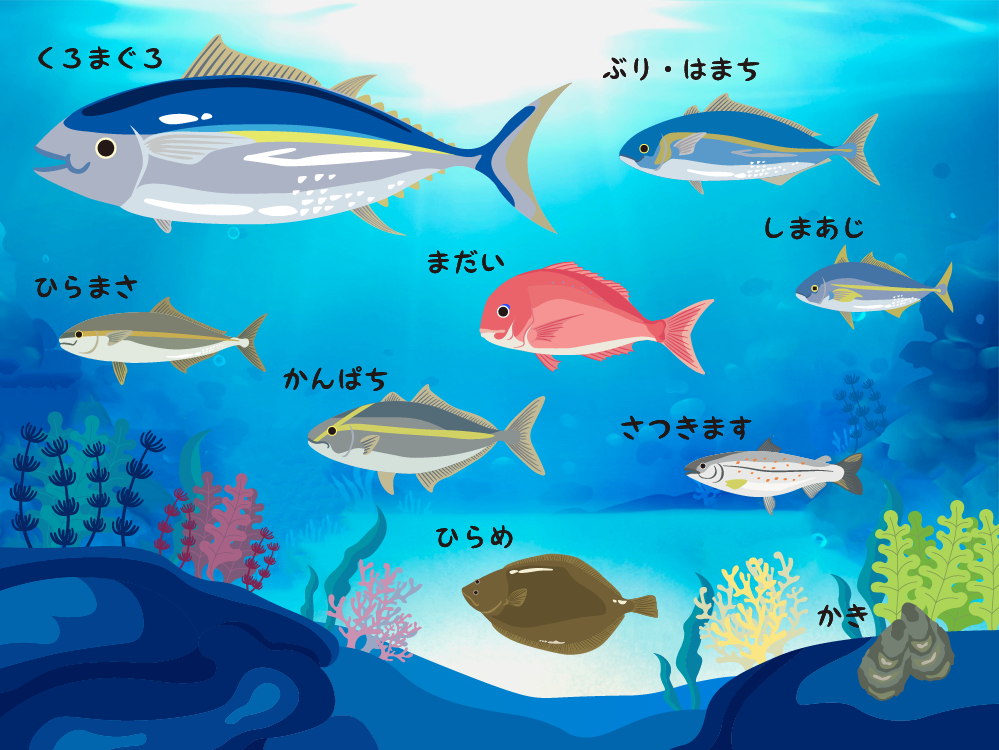 養殖の普及を通して 海を守り 魚を食べ続けられる社会づくりを目指して 水産会社のダイニチ Webサイトをリニューアル 株式会社ダイニチのプレスリリース