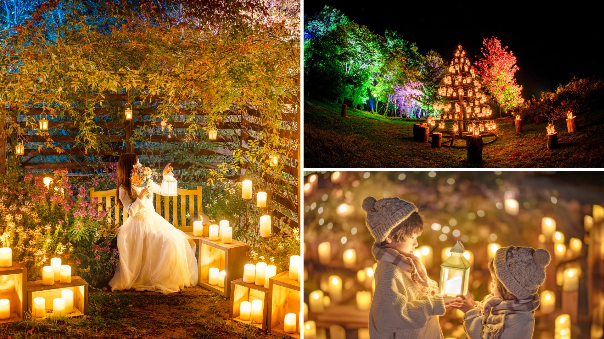 【広島/世羅】世羅高原キャンドルナイト 11月1日OPEN 《そらの花畑 世羅高原花の森》