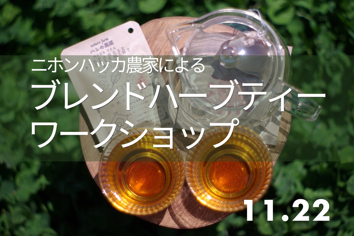 【広島/世羅】ニホンハッカ農家によるブレンドハーブティーワークショップ《森と花の絵本ミュージアムGarden Lei》
