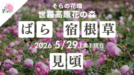 【広島/世羅】ばらが見ごろを迎えています ローズ&フラワーガーデン《そらの花畑世羅高原花の森》 【広島/世羅】ばらが見ごろを迎えています ローズ&フラワーガーデン《そらの花畑世羅高原花の森》
